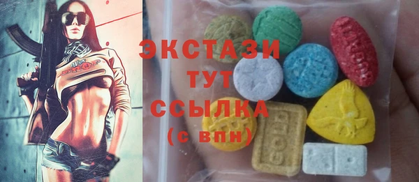 гидра Каменка