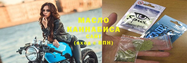 гидра Карпинск