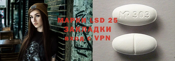 гидра Каменка