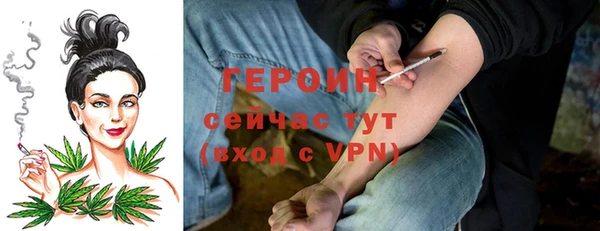 гидра Каменка