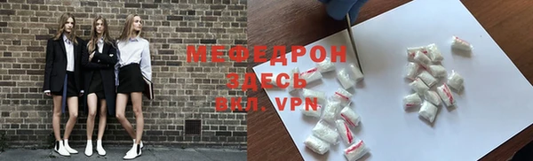 гидра Каменка