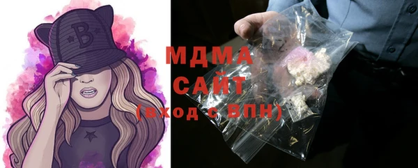 гидра Каменка