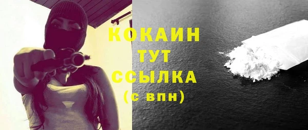 гидра Каменка