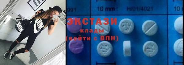 гидра Каменка