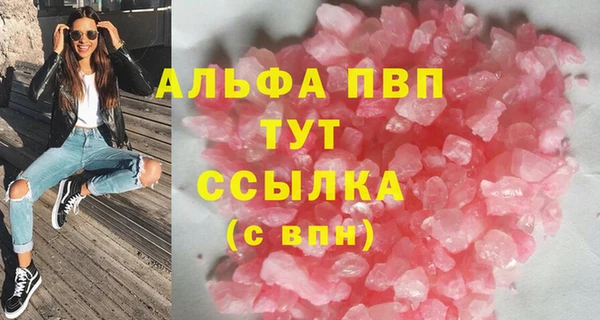 гидра Каменка