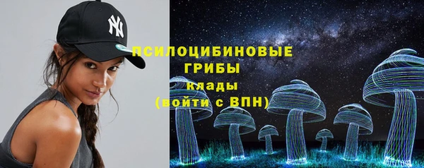 гидра Карпинск