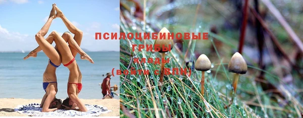 jwh Каменск-Шахтинский