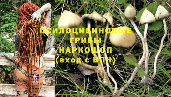 jwh Каменск-Шахтинский