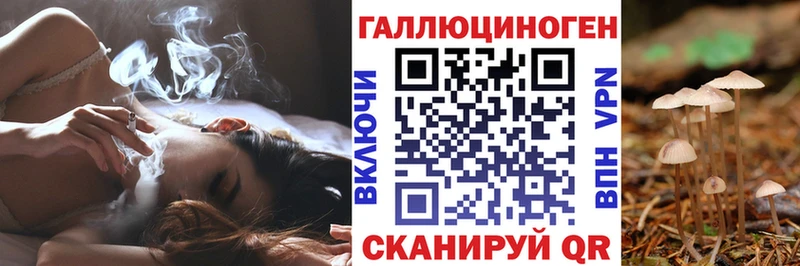 Псилоцибиновые грибы мицелий  Владивосток 