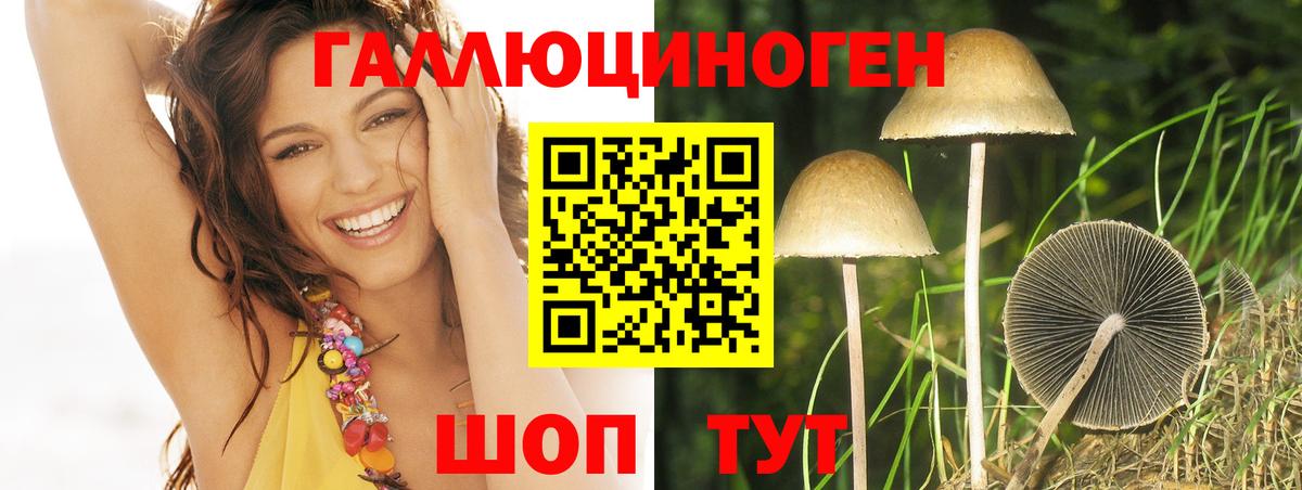 наркотики  Псилоцибиновые грибы мицелий  Вход с VPN  Галлюциногенные грибы ЛСД  Россия 