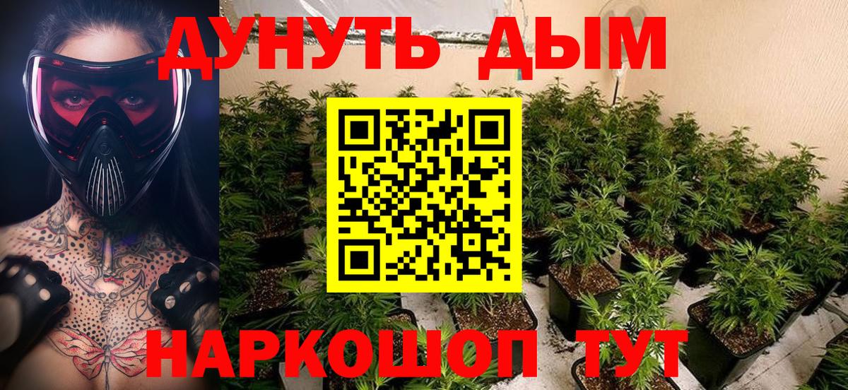 Конопля SATIVA & INDICA Россия